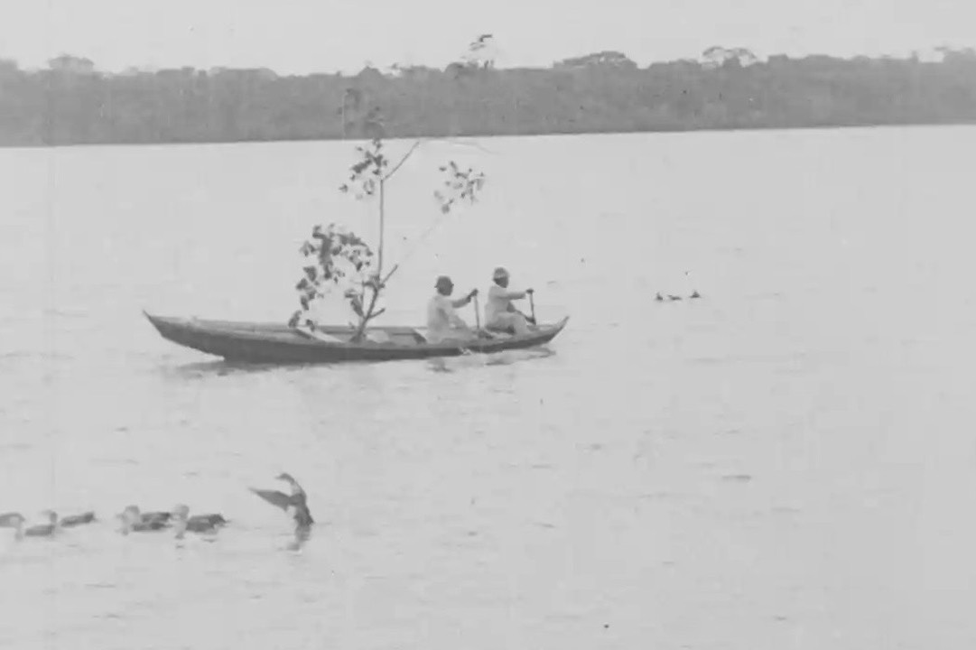 Amazonas, the biggest river in the world - Free Admission!