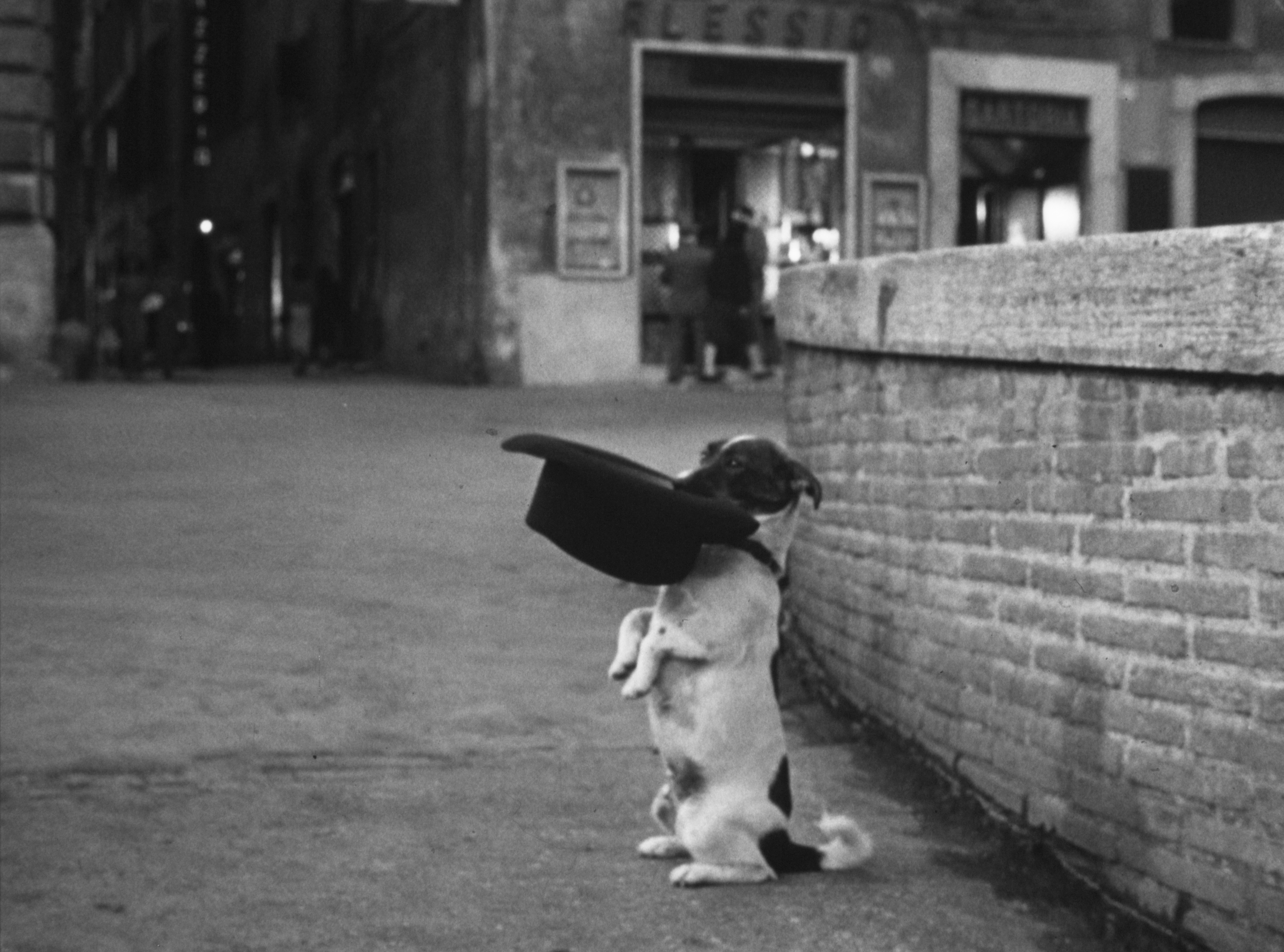CinemAperitivo: Umberto D.