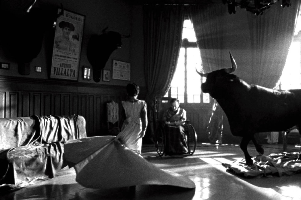 Toro & Torero: Blancanieves