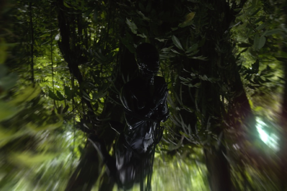 La Sur Real Colombia: El origen de las especies with guest