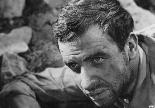 Unsere Besten: Fünf Patronenhülsen