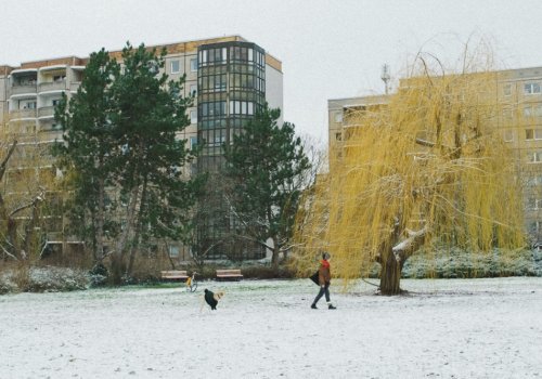achtung berlin: Wettbewerb Mittellanger Film 5