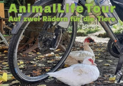 AnimalLifeTour