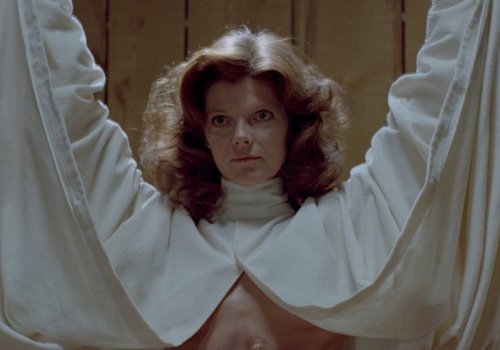 Cronenberg: The Brood