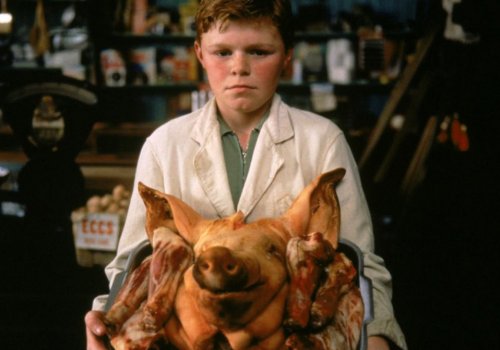 Irish on Screen: The Butcher Boy