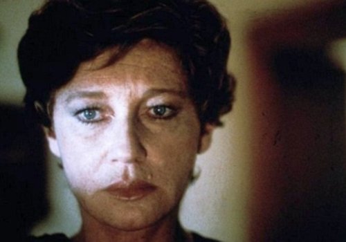 Margarethe von Trotta: Il Lungo Silenzio
