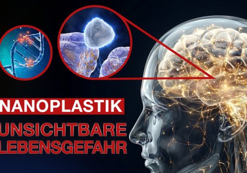Nanoplastik - die unsichtbare Lebensgefahr