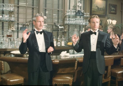 Robert Redford: The Sting