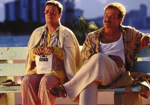 Robin Williams: The Birdcage