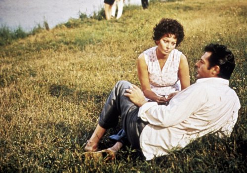 Scola & De Sica: I girasoli [Sunflower]
