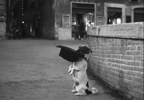 CinemAperitivo: Umberto D.