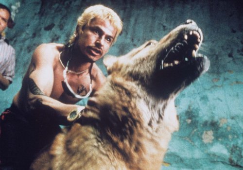 Free Friday: Three Amigos: Amores Perros