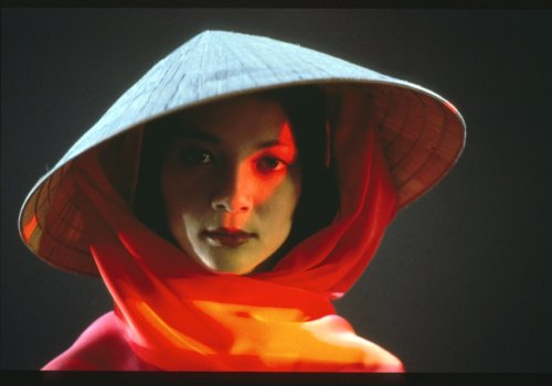 VIETNAM: A Tale of Love