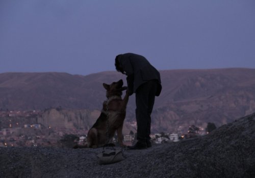 Guadalajara @BABYLON: El ladrón de perros