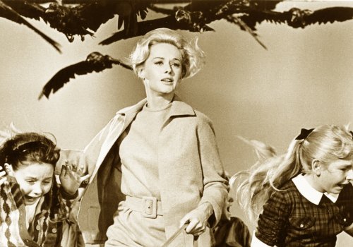 Hitchcock & Chabrol: The Birds