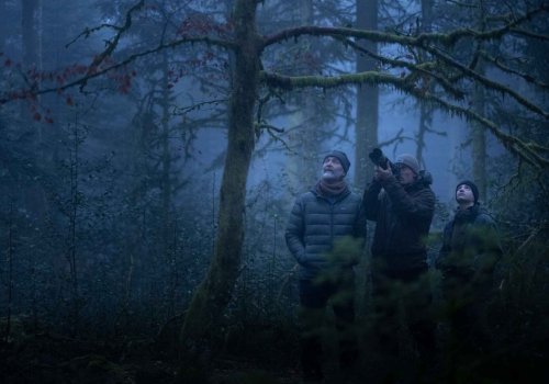 Kinderwagenkino: Das Flüstern der Wälder