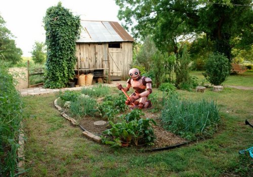 MoMo Berlin: Green Robots, Anthropocenic AI