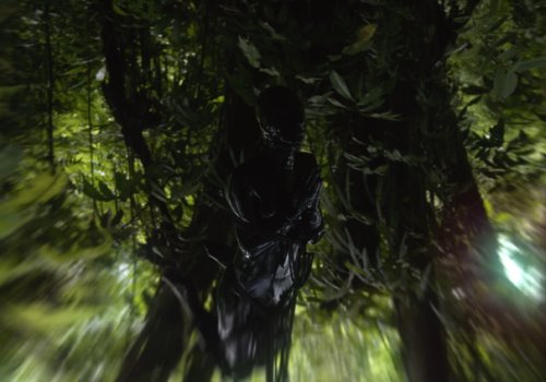 La Sur Real Colombia: El origen de las especies