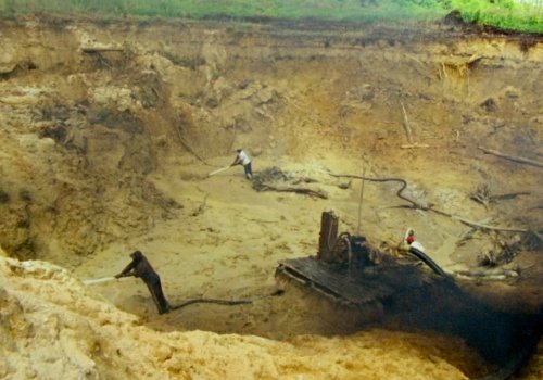 La Sur Real Colombia: Morichales