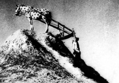 Stummfilm um Mitternacht: Das Glück